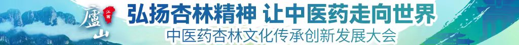 操逼视频爽死了中医药杏林文化传承创新发展大会